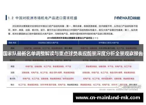 国家队最新名单调整解读与重点球员表现前景深度分析全景观察报告